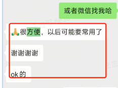ChatGPT Plus 国内充值客服响应及时 - 专业解答