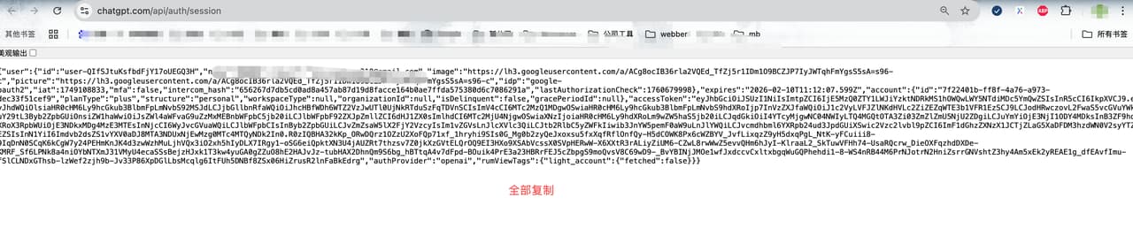 ChatGPT Session 页面显示需要全部复制的 JSON 文本