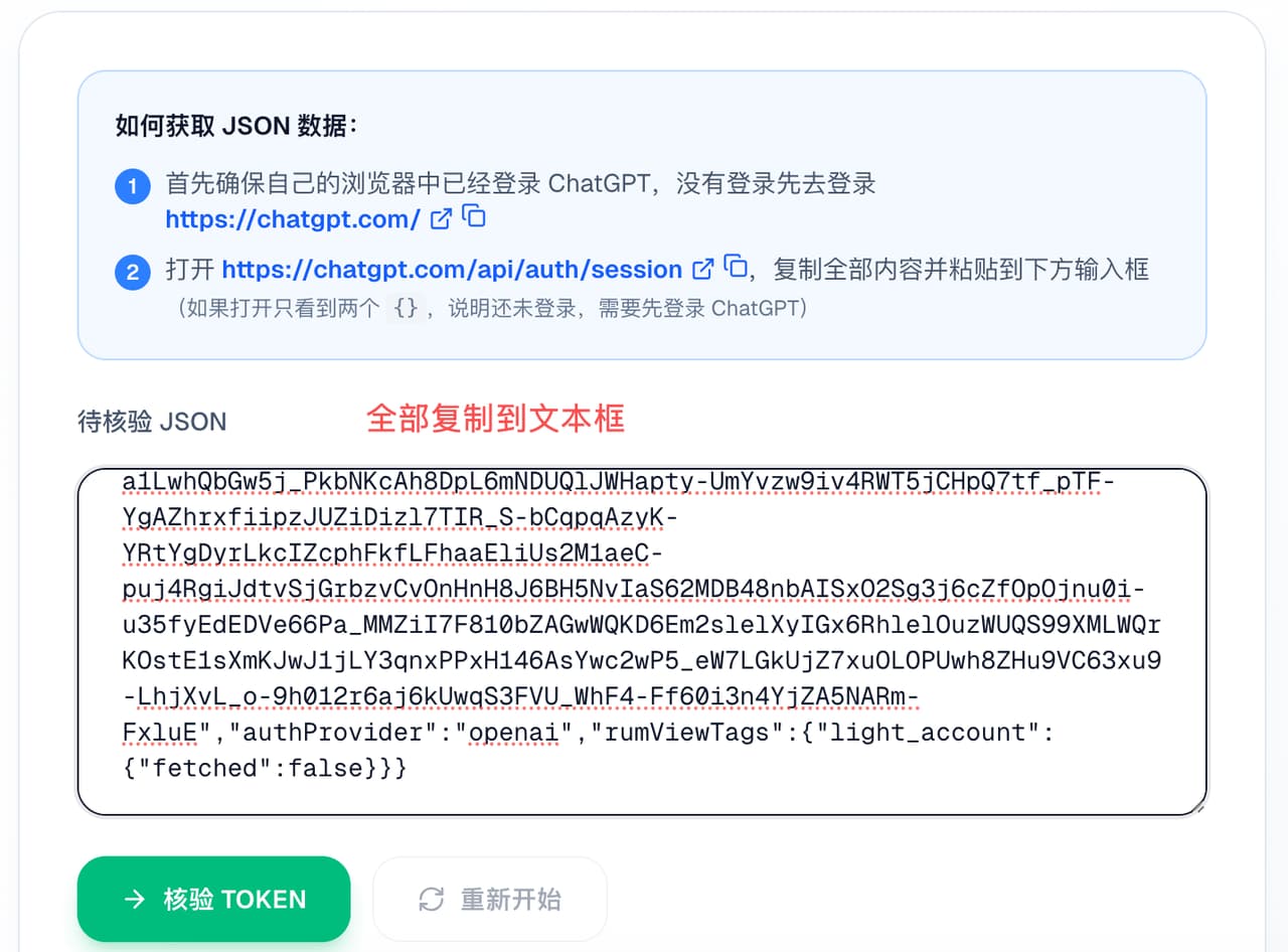 把完整 ChatGPT JSON 文本粘贴到待核验输入框