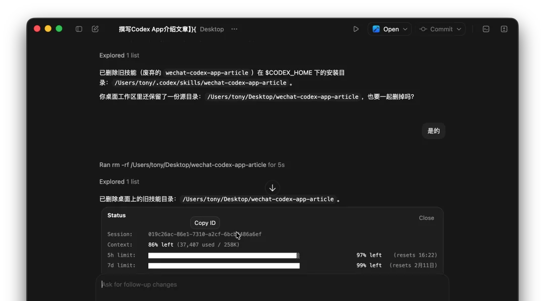 Codex App 配额使用情况