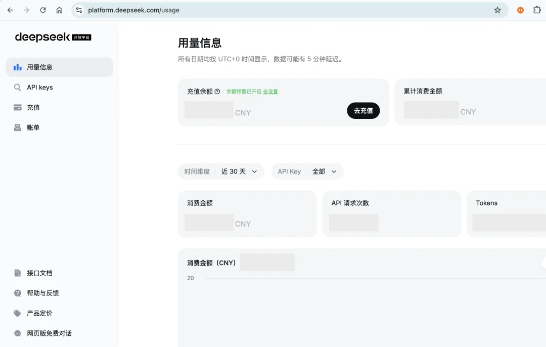 DeepSeek 开放平台首页