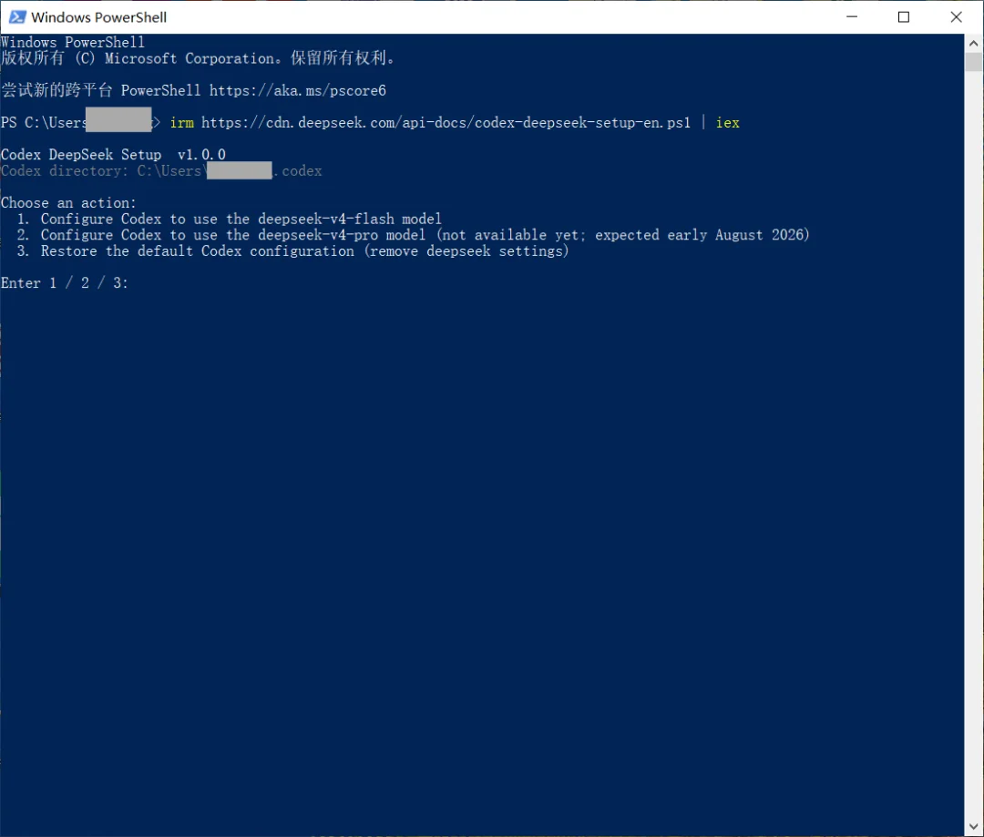 在 Windows PowerShell 中运行 Codex 配置脚本