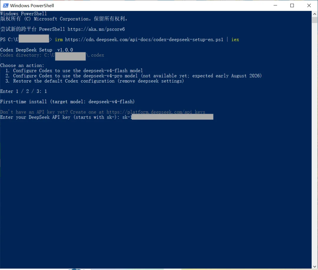 在 PowerShell 中粘贴 DeepSeek API Key