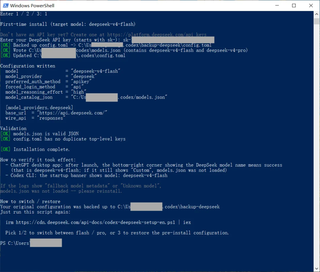 Codex 接入 DeepSeek API 配置完成提示