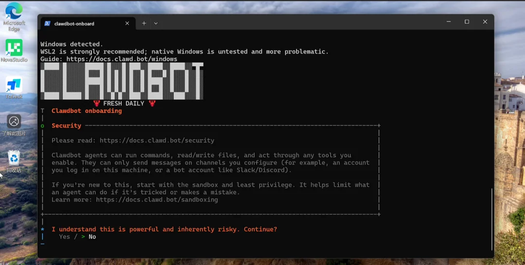Moltbot/Clawdbot Windows 安装界面