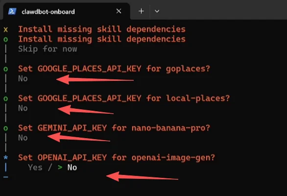 Moltbot 安装其他 API 选择 No