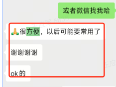 ChatGPT Plus 国内充值客服响应及时 - 专业解答